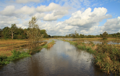 <i class='fa fa-user'></i>&nbsp;Tineke Strijbosch&nbsp;|  Na (veel) regen komt zonneschijn&nbsp; <i class='fa fa-eye'>&nbsp;100</i> &nbsp;<i class='fa fa-thumbs-up'>&nbsp;5</i> &nbsp; <i class='fa fa-comment-o'>&nbsp;6</i>