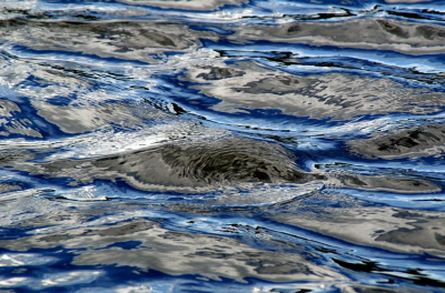 <i class='fa fa-user'></i>&nbsp;B.M.Schouten-Ruis&nbsp;|  Weerspiegeling in het water&nbsp; <i class='fa fa-eye'>&nbsp;134</i> &nbsp;<i class='fa fa-thumbs-up'>&nbsp;5</i> &nbsp; <i class='fa fa-comment-o'>&nbsp;9</i>