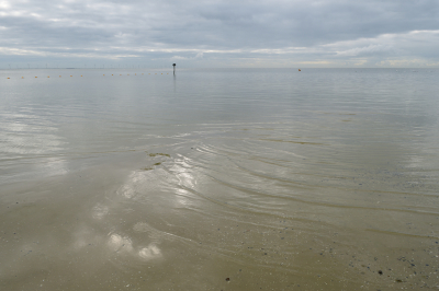 <i class='fa fa-user'></i>&nbsp;Hendrik van Kampen&nbsp;|  IJsselmeer&nbsp; <i class='fa fa-eye'>&nbsp;96</i> &nbsp; <i class='fa fa-comment-o'>&nbsp;5</i>