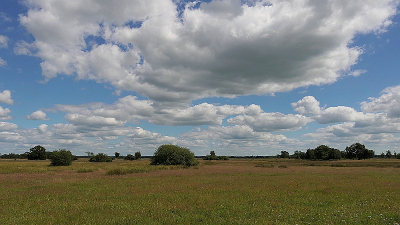 <i class='fa fa-user'></i>&nbsp;frbeuming&nbsp;|  Landschap&nbsp; <i class='fa fa-eye'>&nbsp;74</i> &nbsp;<i class='fa fa-thumbs-up'>&nbsp;1</i> &nbsp; <i class='fa fa-comment-o'>&nbsp;3</i>