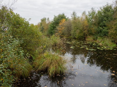 <i class='fa fa-user'></i>&nbsp;Tim Oord&nbsp;|  Herfst in veenlandschap&nbsp; <i class='fa fa-eye'>&nbsp;68</i> &nbsp; <i class='fa fa-comment-o'>&nbsp;2</i>