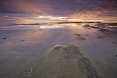 <i class='fa fa-user'></i>&nbsp;Bendiks Westerink&nbsp;|  Vliehors&nbsp; <i class='fa fa-eye'>&nbsp;118</i> &nbsp;<i class='fa fa-thumbs-up'>&nbsp;7</i> &nbsp; <i class='fa fa-comment-o'>&nbsp;10</i>