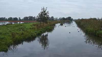 <i class='fa fa-user'></i>&nbsp;kooyammers&nbsp;|  Molensloot Willeskop&nbsp; <i class='fa fa-eye'>&nbsp;58</i> &nbsp;<i class='fa fa-thumbs-up'>&nbsp;1</i> &nbsp; <i class='fa fa-comment-o'>&nbsp;2</i>