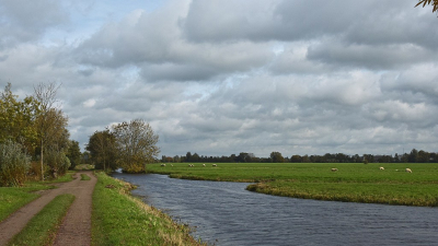 <i class='fa fa-user'></i>&nbsp;kooyammers&nbsp;|  Najaars Polder&nbsp; <i class='fa fa-eye'>&nbsp;44</i> &nbsp;<i class='fa fa-thumbs-up'>&nbsp;2</i> &nbsp; <i class='fa fa-comment-o'>&nbsp;3</i>