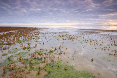 <i class='fa fa-user'></i>&nbsp;Bendiks Westerink&nbsp;|  Land ontmoet water&nbsp; <i class='fa fa-eye'>&nbsp;83</i> &nbsp; <i class='fa fa-comment-o'>&nbsp;3</i>