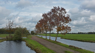 <i class='fa fa-user'></i>&nbsp;kooyammers&nbsp;|  Roodbruin in Groen&nbsp; <i class='fa fa-eye'>&nbsp;56</i> &nbsp;<i class='fa fa-thumbs-up'>&nbsp;1</i> &nbsp; <i class='fa fa-comment-o'>&nbsp;3</i>