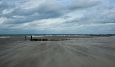 <i class='fa fa-user'></i>&nbsp;susan meijnders&nbsp;|  Windkracht 7-8&nbsp; <i class='fa fa-eye'>&nbsp;90</i> &nbsp;<i class='fa fa-thumbs-up'>&nbsp;2</i> &nbsp; <i class='fa fa-comment-o'>&nbsp;10</i>