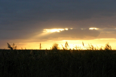 <i class='fa fa-user'></i>&nbsp;lesley van loo&nbsp;| ovp&nbsp; <i class='fa fa-eye'>&nbsp;284</i> &nbsp; <i class='fa fa-comment-o'>&nbsp;1</i>