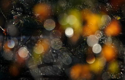 <i class='fa fa-user'></i>&nbsp;nelappelmelk&nbsp;|  Spielerij met herfstkleuren&nbsp; <i class='fa fa-eye'>&nbsp;112</i> &nbsp;<i class='fa fa-thumbs-up'>&nbsp;6</i> &nbsp; <i class='fa fa-comment-o'>&nbsp;7</i>
