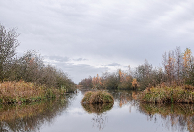 <i class='fa fa-user'></i>&nbsp;Tim Oord&nbsp;|  Herfst in petgat&nbsp; <i class='fa fa-eye'>&nbsp;77</i> &nbsp; <i class='fa fa-comment-o'>&nbsp;4</i>