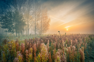 <i class='fa fa-user'></i>&nbsp;Twentefotograaf&nbsp;|  Het Vree&nbsp; <i class='fa fa-eye'>&nbsp;161</i> &nbsp;<i class='fa fa-thumbs-up'>&nbsp;6</i> &nbsp; <i class='fa fa-comment-o'>&nbsp;7</i>