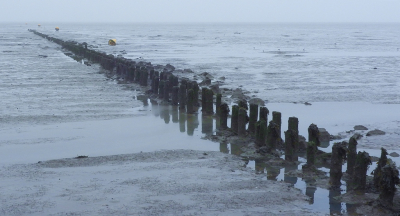 <i class='fa fa-user'></i>&nbsp;Ben Aalders&nbsp;|  Waddenzee&nbsp; <i class='fa fa-eye'>&nbsp;86</i> &nbsp;<i class='fa fa-thumbs-up'>&nbsp;1</i> &nbsp; <i class='fa fa-comment-o'>&nbsp;0</i>