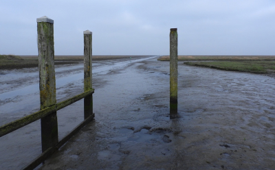 <i class='fa fa-user'></i>&nbsp;Ben Aalders&nbsp;|  Noordpolderzijl&nbsp; <i class='fa fa-eye'>&nbsp;91</i> &nbsp; <i class='fa fa-comment-o'>&nbsp;2</i>