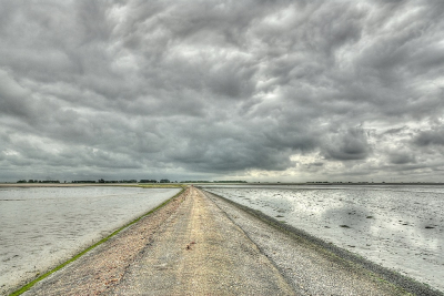 <i class='fa fa-user'></i>&nbsp;Tim Oord&nbsp;|  Dreiging op 't Wad&nbsp; <i class='fa fa-eye'>&nbsp;133</i> &nbsp;<i class='fa fa-thumbs-up'>&nbsp;3</i> &nbsp; <i class='fa fa-comment-o'>&nbsp;4</i>