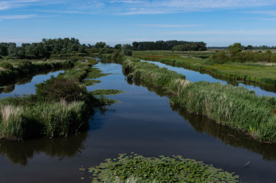<i class='fa fa-user'></i>&nbsp;gledder400&nbsp;|  Natuurgebied de Blankkaart&nbsp; <i class='fa fa-eye'>&nbsp;61</i> &nbsp; <i class='fa fa-comment-o'>&nbsp;1</i>