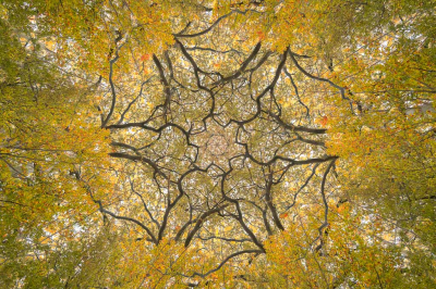 Tijdens mijn vakantie ben ik eens bezig geweest met meervoudige belichting. Dit is een opname van 6 belichtingen gericht op de boomkronen boven me. De camera voegde de opnames samen met dit kaleidoscoop effect als resultaat.