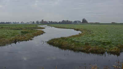 <i class='fa fa-user'></i>&nbsp;kooyammers&nbsp;|  Polder Oukoop&nbsp; <i class='fa fa-eye'>&nbsp;79</i> &nbsp;<i class='fa fa-thumbs-up'>&nbsp;2</i> &nbsp; <i class='fa fa-comment-o'>&nbsp;2</i>