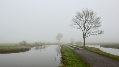 <i class='fa fa-user'></i>&nbsp;kooyammers&nbsp;|  'Lichtheid' in de polder&nbsp; <i class='fa fa-eye'>&nbsp;75</i> &nbsp; <i class='fa fa-comment-o'>&nbsp;2</i>