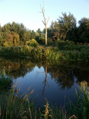 <i class='fa fa-user'></i> Hietbrink | Mooi weerspiegeling in het avond licht  <i class='fa fa-eye'> 141</i>   <i class='fa fa-comment-o'> 0</i>