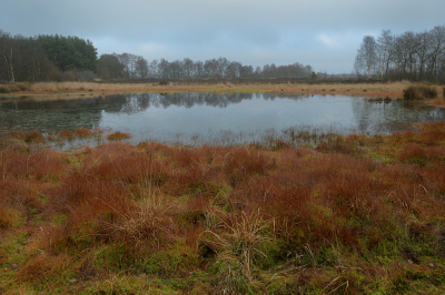 <i class='fa fa-user'></i>&nbsp;Hendrik van Kampen&nbsp;|  Merskenheide&nbsp; <i class='fa fa-eye'>&nbsp;103</i> &nbsp;<i class='fa fa-thumbs-up'>&nbsp;1</i> &nbsp; <i class='fa fa-comment-o'>&nbsp;5</i>