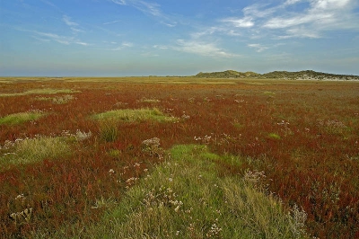 <i class='fa fa-user'></i> Maas | Schiermonnikoog  <i class='fa fa-eye'> 227</i>   <i class='fa fa-comment-o'> 2</i>