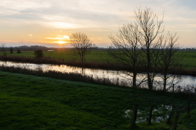 <i class='fa fa-user'></i>&nbsp;gledder400&nbsp;|  Oostendse krekengebied&nbsp; <i class='fa fa-eye'>&nbsp;77</i> &nbsp; <i class='fa fa-comment-o'>&nbsp;1</i>