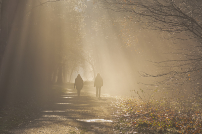 <i class='fa fa-user'></i>&nbsp;Pentax4ever&nbsp;|  Wandelaars in tegenlicht&nbsp; <i class='fa fa-eye'>&nbsp;111</i> &nbsp;<i class='fa fa-thumbs-up'>&nbsp;2</i> &nbsp; <i class='fa fa-comment-o'>&nbsp;5</i>