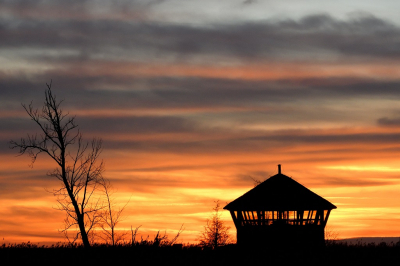 <i class='fa fa-user'></i>&nbsp;mauritskoenen48&nbsp;|  Zonsondergang Oostvaardersplassen&nbsp; <i class='fa fa-eye'>&nbsp;118</i> &nbsp; <i class='fa fa-comment-o'>&nbsp;2</i>