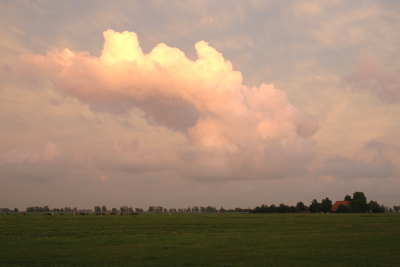 Deze mooi aangekleurde wolk maakt alles nietig in het landschap