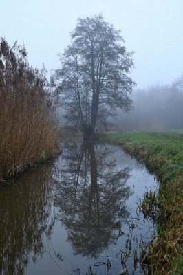 De foto is gemaakt met mistig weer en lichte regen. Camera is op statief geplaatst