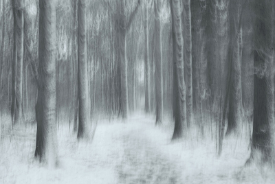 <i class='fa fa-user'></i>&nbsp;Nel R&nbsp;|  Winter&nbsp; <i class='fa fa-eye'>&nbsp;161</i> &nbsp;<i class='fa fa-thumbs-up'>&nbsp;21</i> &nbsp; <i class='fa fa-comment-o'>&nbsp;15</i>