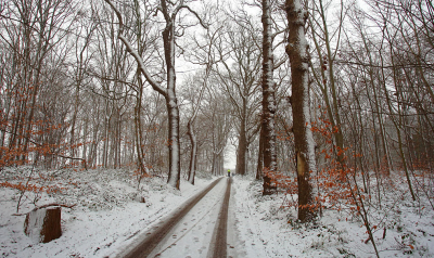 <i class='fa fa-user'></i>&nbsp;Pieter  LJ&nbsp;|  Sneeuw in het bos&nbsp; <i class='fa fa-eye'>&nbsp;104</i> &nbsp; <i class='fa fa-comment-o'>&nbsp;3</i>