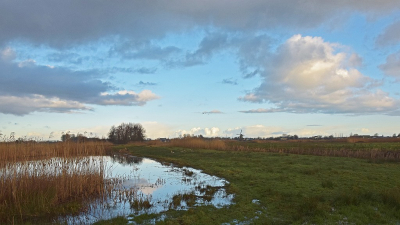 <i class='fa fa-user'></i>&nbsp;kooyammers&nbsp;|  Natuurgebied Bilwijk&nbsp; <i class='fa fa-eye'>&nbsp;51</i> &nbsp;<i class='fa fa-thumbs-up'>&nbsp;1</i> &nbsp; <i class='fa fa-comment-o'>&nbsp;1</i>