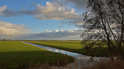 <i class='fa fa-user'></i>&nbsp;kooyammers&nbsp;|  Polder Vlist Westzijde&nbsp; <i class='fa fa-eye'>&nbsp;74</i> &nbsp;<i class='fa fa-thumbs-up'>&nbsp;2</i> &nbsp; <i class='fa fa-comment-o'>&nbsp;5</i>