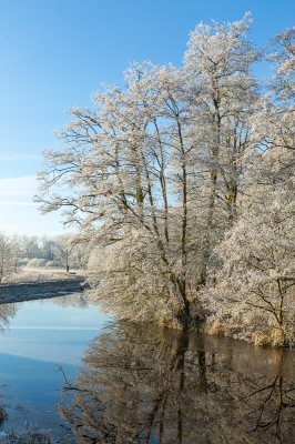 <i class='fa fa-user'></i>&nbsp;Arjen Drost&nbsp;|  Landschap met rijp&nbsp; <i class='fa fa-eye'>&nbsp;83</i> &nbsp; <i class='fa fa-comment-o'>&nbsp;7</i>