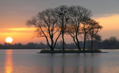 <i class='fa fa-user'></i>&nbsp;B.M.Schouten-Ruis&nbsp;|  Eiland in de Reeuwijkse Plas bij zonsopkomst&nbsp; <i class='fa fa-eye'>&nbsp;104</i> &nbsp;<i class='fa fa-thumbs-up'>&nbsp;5</i> &nbsp; <i class='fa fa-comment-o'>&nbsp;6</i>