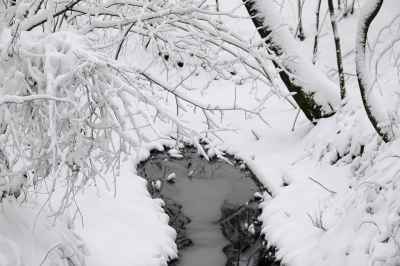 <i class='fa fa-user'></i>&nbsp;nelappelmelk&nbsp;|  Winter wonderland&nbsp; <i class='fa fa-eye'>&nbsp;135</i> &nbsp; <i class='fa fa-comment-o'>&nbsp;5</i>