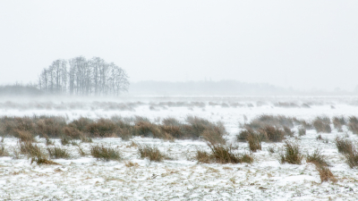 <i class='fa fa-user'></i>&nbsp;Arjen Drost&nbsp;|  Nederlands poollandschap&nbsp; <i class='fa fa-eye'>&nbsp;108</i> &nbsp; <i class='fa fa-comment-o'>&nbsp;4</i>