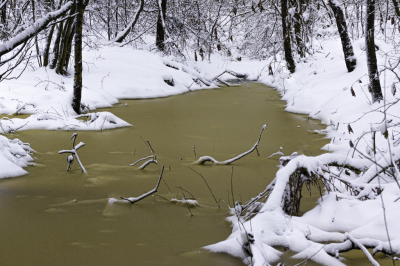 <i class='fa fa-user'></i>&nbsp;Pentax4ever&nbsp;|  Sneeuw en water&nbsp; <i class='fa fa-eye'>&nbsp;72</i> &nbsp; <i class='fa fa-comment-o'>&nbsp;6</i>