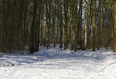 <i class='fa fa-user'></i>&nbsp;Cor&nbsp;|  Sneeuw en Zon&nbsp; <i class='fa fa-eye'>&nbsp;84</i> &nbsp; <i class='fa fa-comment-o'>&nbsp;7</i>