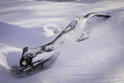 <i class='fa fa-user'></i>&nbsp;Pentax4ever&nbsp;|  Kunststukje van koning winter&nbsp; <i class='fa fa-eye'>&nbsp;111</i> &nbsp;<i class='fa fa-thumbs-up'>&nbsp;1</i> &nbsp; <i class='fa fa-comment-o'>&nbsp;4</i>