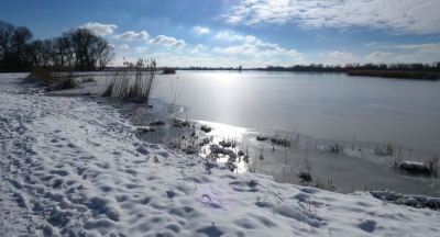 <i class='fa fa-user'></i>&nbsp;B.M.Schouten-Ruis&nbsp;|  Winterlandschap Rottemeren&nbsp; <i class='fa fa-eye'>&nbsp;83</i> &nbsp; <i class='fa fa-comment-o'>&nbsp;5</i>