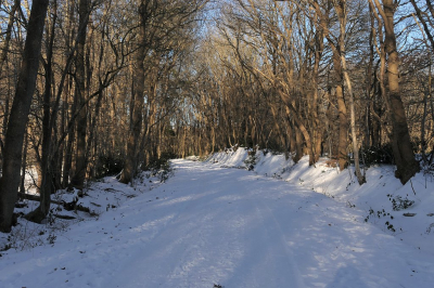 <i class='fa fa-user'></i>&nbsp;frbeuming&nbsp;|  Winter landschap&nbsp; <i class='fa fa-eye'>&nbsp;63</i> &nbsp; <i class='fa fa-comment-o'>&nbsp;4</i>