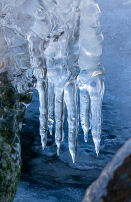 Onder bitter koude omstandigheden hingen deze ijspegels aan de bazaltblokken op de Oostvaardersdijk, ter hoogte van Almere.