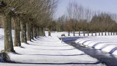 <i class='fa fa-user'></i>&nbsp;Pentax4ever&nbsp;|  Sneeuwlandschap met knotwilgen&nbsp; <i class='fa fa-eye'>&nbsp;99</i> &nbsp;<i class='fa fa-thumbs-up'>&nbsp;1</i> &nbsp; <i class='fa fa-comment-o'>&nbsp;4</i>
