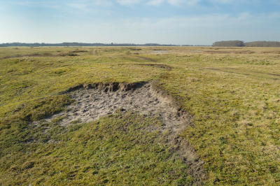<i class='fa fa-user'></i>&nbsp;Hendrik van Kampen&nbsp;|  Delleboersterheide&nbsp; <i class='fa fa-eye'>&nbsp;99</i> &nbsp; <i class='fa fa-comment-o'>&nbsp;4</i>