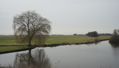 <i class='fa fa-user'></i>&nbsp;Ben Aalders&nbsp;|  Voorjaarsdag&nbsp; <i class='fa fa-eye'>&nbsp;55</i> &nbsp;<i class='fa fa-thumbs-up'>&nbsp;1</i> &nbsp; <i class='fa fa-comment-o'>&nbsp;1</i>