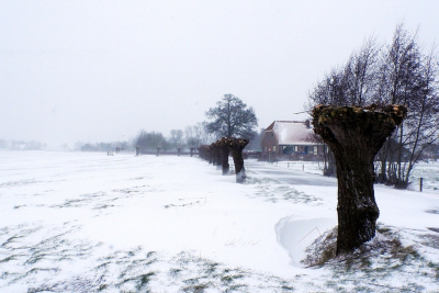 <i class='fa fa-user'></i>&nbsp;Ben Aalders&nbsp;|  Sneeuwstorm 2&nbsp; <i class='fa fa-eye'>&nbsp;77</i> &nbsp;<i class='fa fa-thumbs-up'>&nbsp;3</i> &nbsp; <i class='fa fa-comment-o'>&nbsp;3</i>