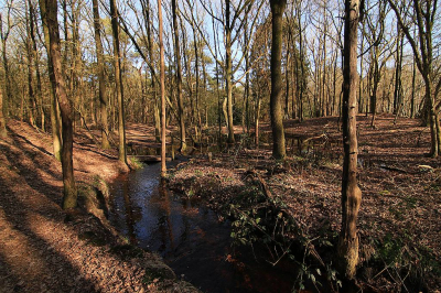 <i class='fa fa-user'></i>&nbsp;frbeuming&nbsp;|  Landschap&nbsp; <i class='fa fa-eye'>&nbsp;59</i> &nbsp;<i class='fa fa-thumbs-up'>&nbsp;1</i> &nbsp; <i class='fa fa-comment-o'>&nbsp;0</i>