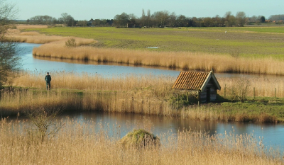 <i class='fa fa-user'></i>&nbsp;B.M.Schouten-Ruis&nbsp;|  Landschap Bommenede&nbsp; <i class='fa fa-eye'>&nbsp;101</i> &nbsp;<i class='fa fa-thumbs-up'>&nbsp;1</i> &nbsp; <i class='fa fa-comment-o'>&nbsp;4</i>